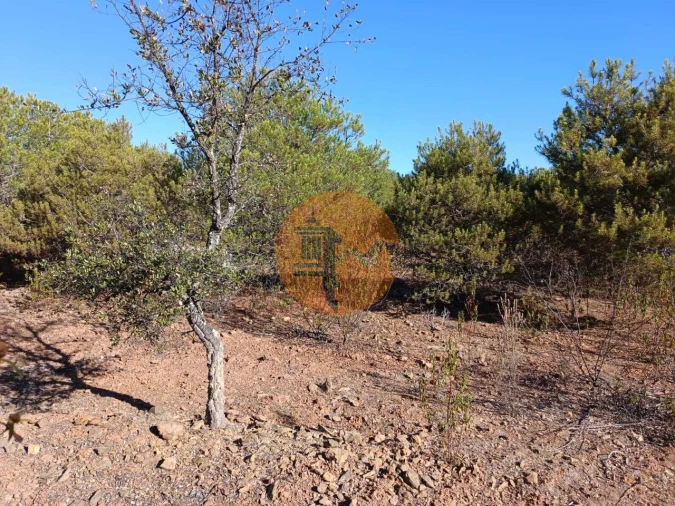 Terreno para Venda em Vaqueiros Foto 25
