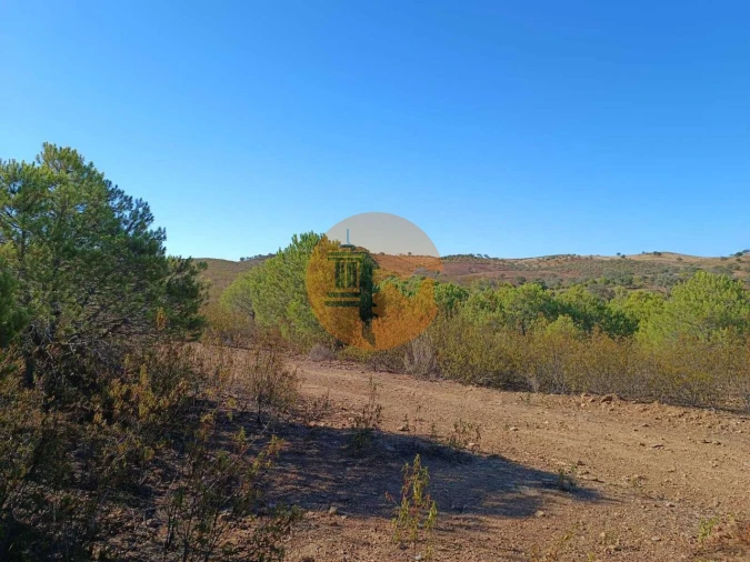 Terreno para Venda em Vaqueiros Foto 26