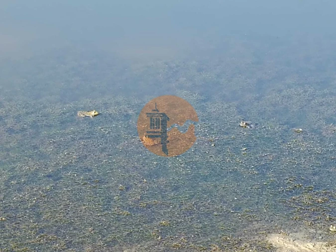 Terreno para Venda em Vaqueiros Foto 16