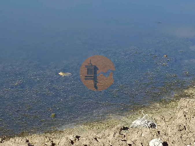 Terreno para Venda em Vaqueiros Foto 31