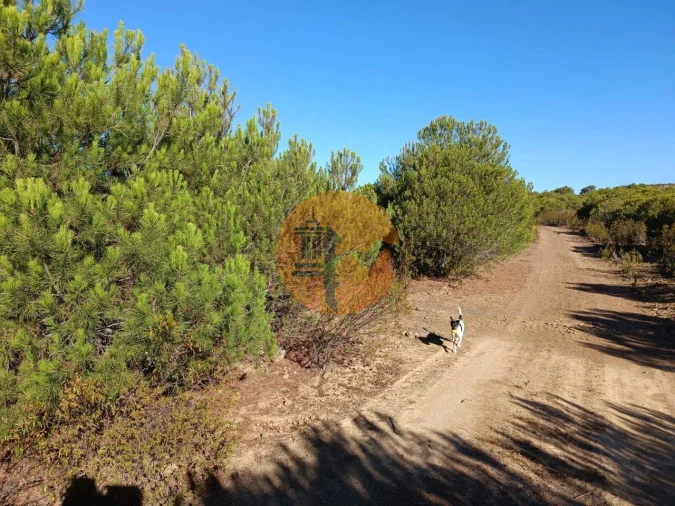 Terreno para Venda em Vaqueiros Foto 39