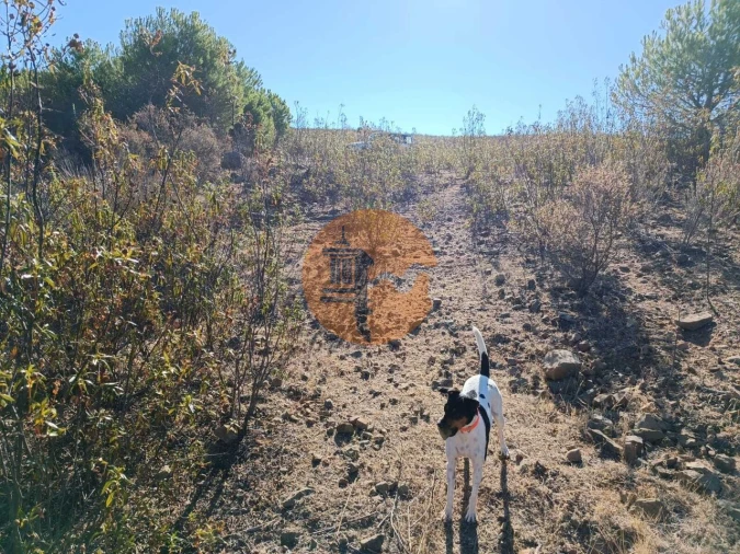 Terreno para Venda em Vaqueiros Foto 40