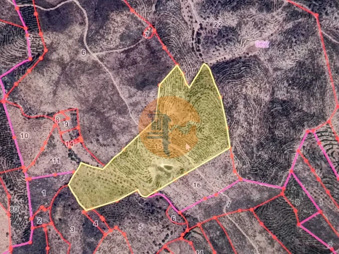 Terreno para Venda em Vaqueiros Foto 38