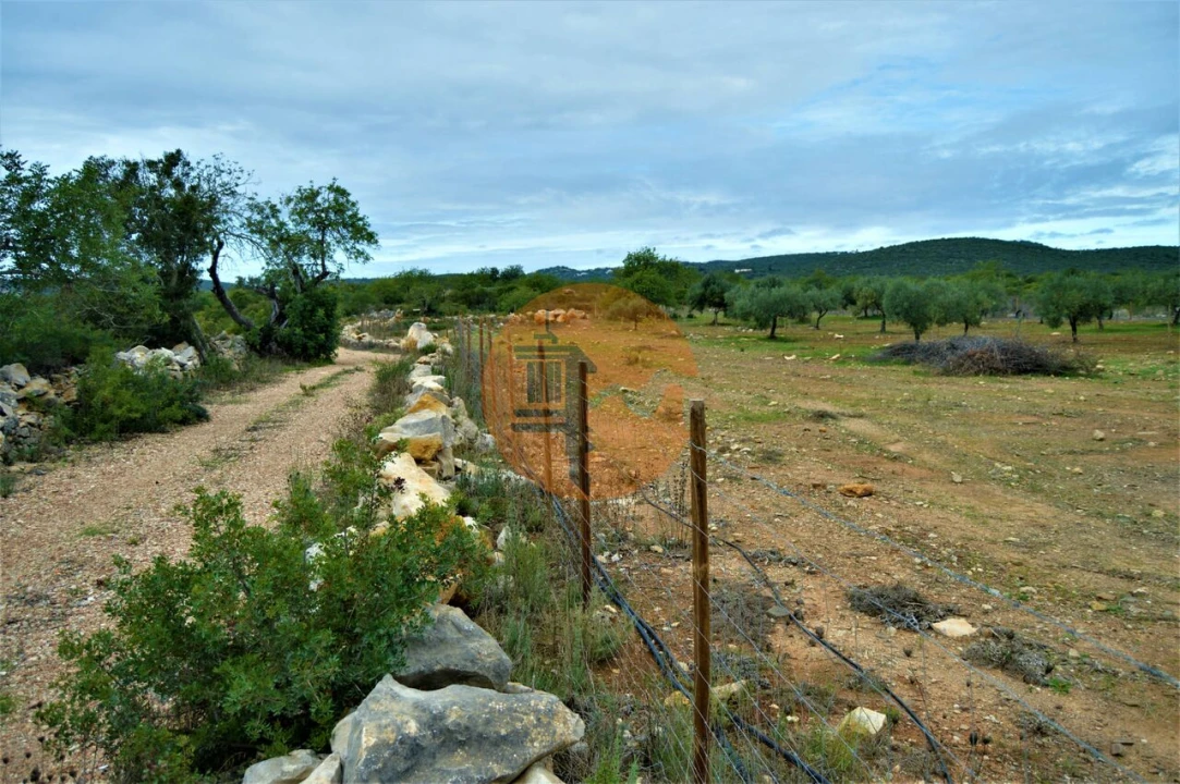 Terreno para Venda em Santa Catarina da Fonte do Bispo Foto 1