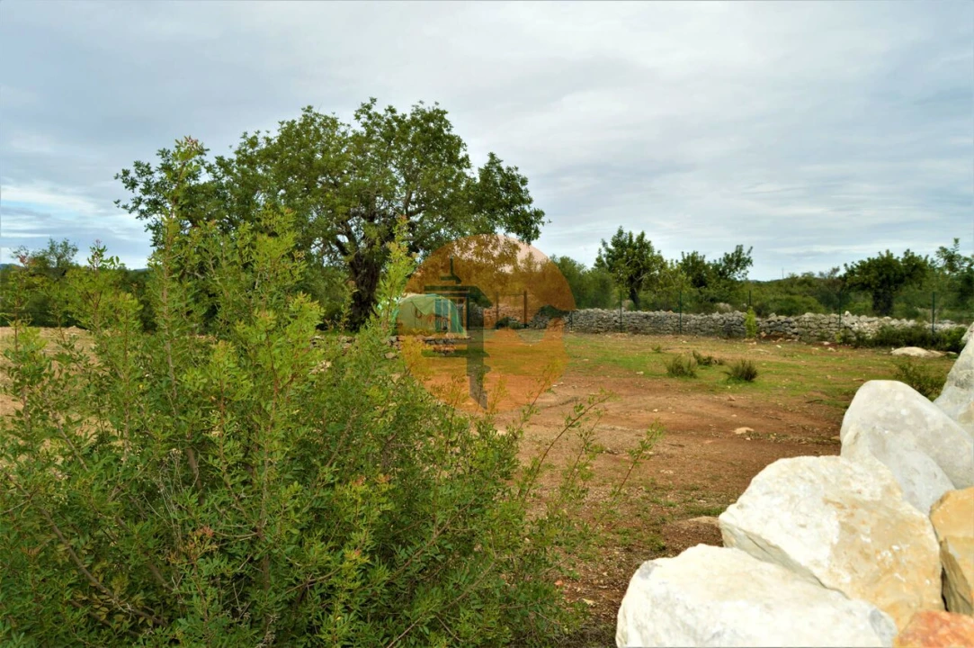 Terreno para Venda em Santa Catarina da Fonte do Bispo Foto 11