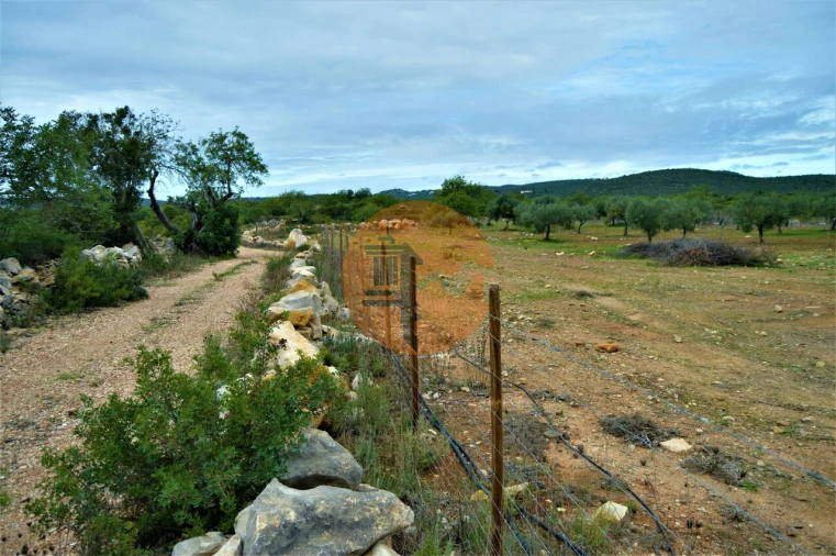 Terreno para Venda em Santa Catarina da Fonte do Bispo