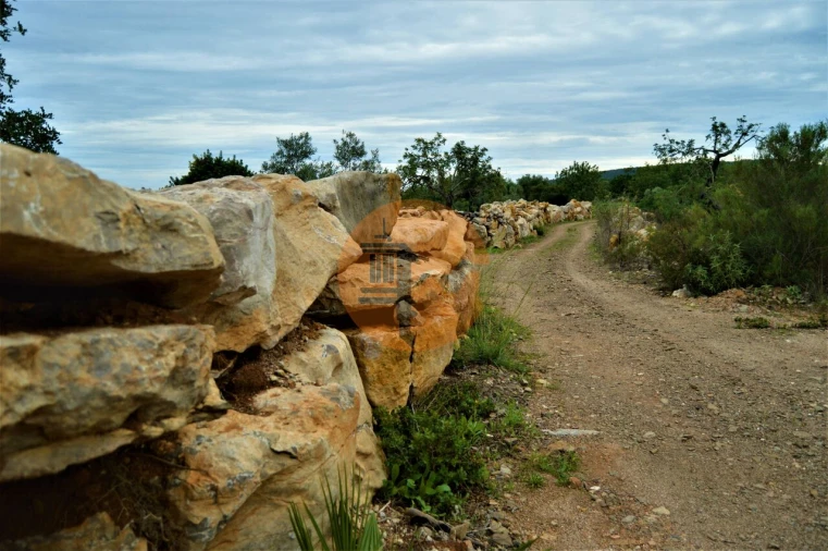 Terreno para Venda em Santa Catarina da Fonte do Bispo Foto 5