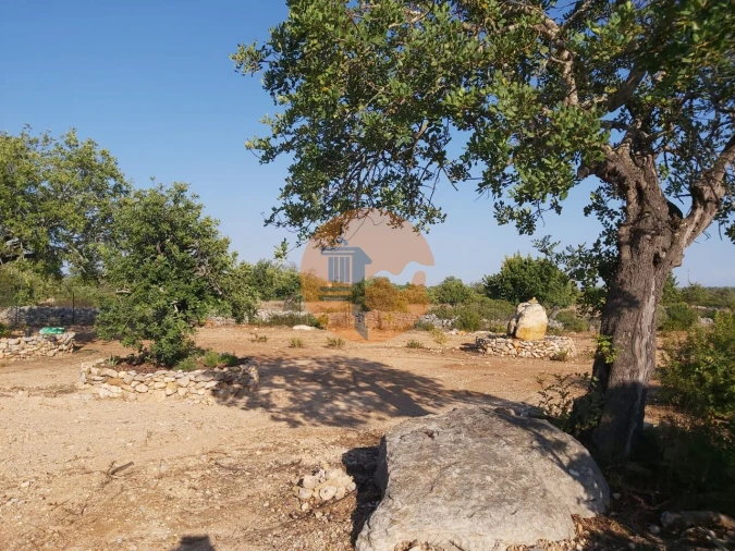 Terreno para Venda em Santa Catarina da Fonte do Bispo Foto 6