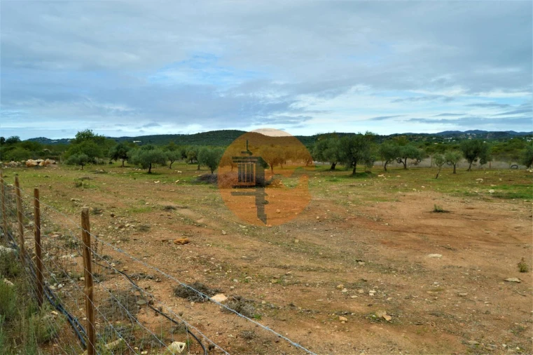 Terreno para Venda em Santa Catarina da Fonte do Bispo Foto 9