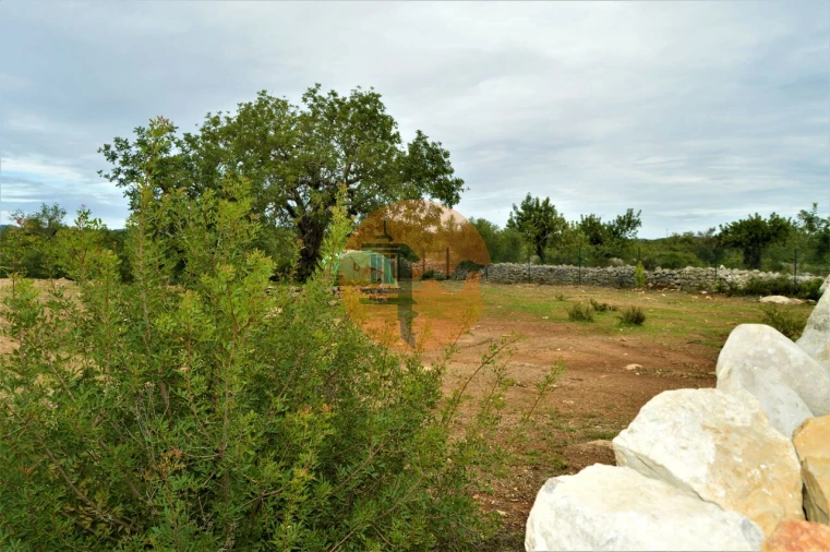 Terreno para Venda em Santa Catarina da Fonte do Bispo Foto 11
