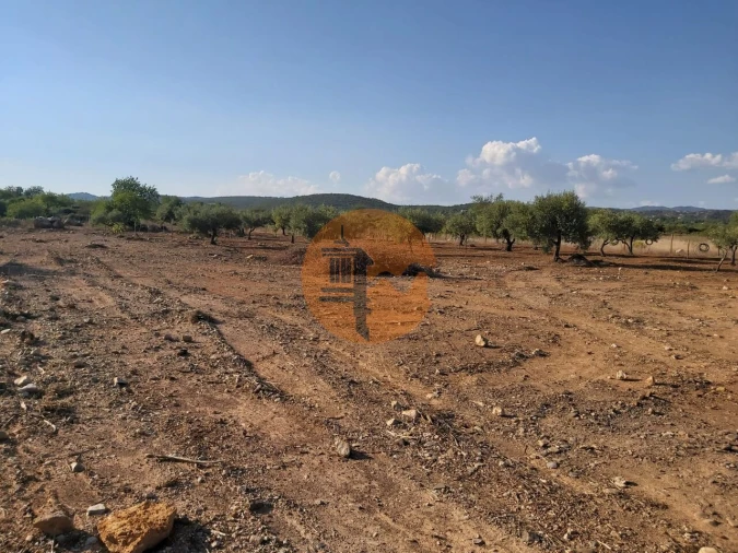 Terreno para Venda em Santa Catarina da Fonte do Bispo Foto 12