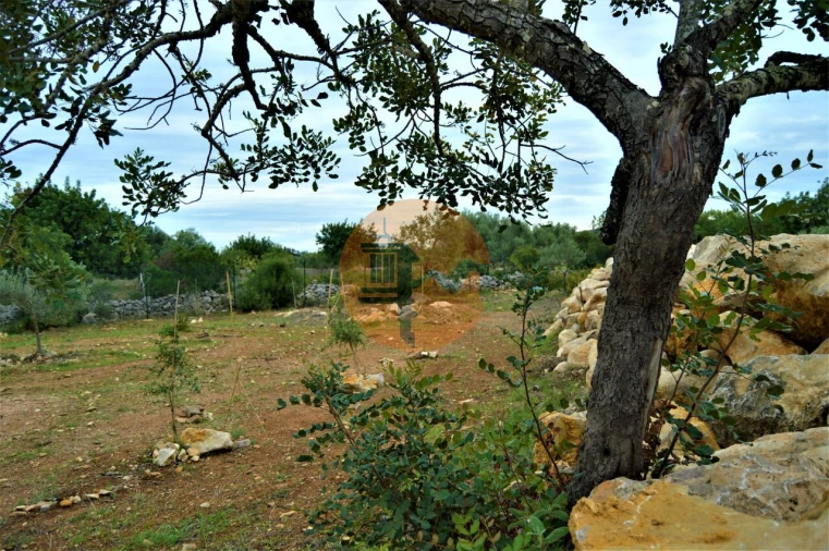 Terreno para Venda em Santa Catarina da Fonte do Bispo Foto 14