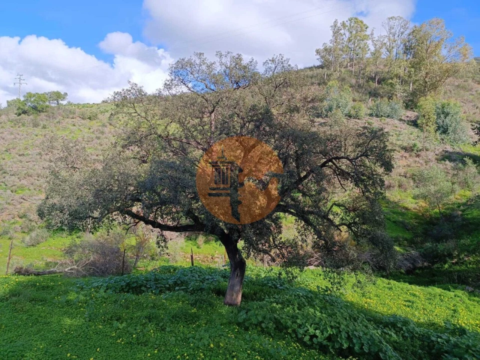 Terreno para Venda em Castro Marim Foto 24