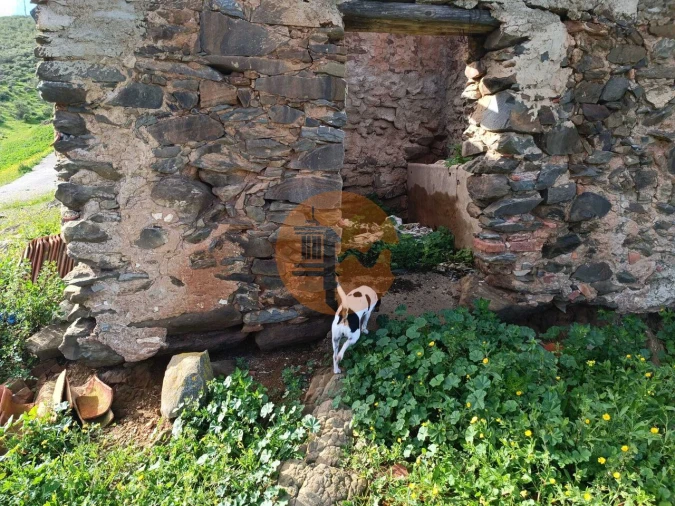 Negócio para Venda em Castro Marim Foto 7