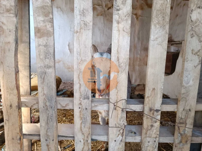 Negócio para Venda em Castro Marim Foto 48