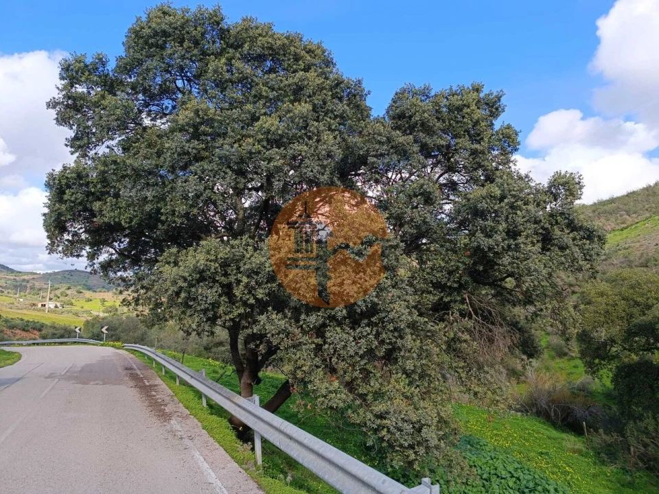 Moradia T2 para Venda em Castro Marim Foto 23