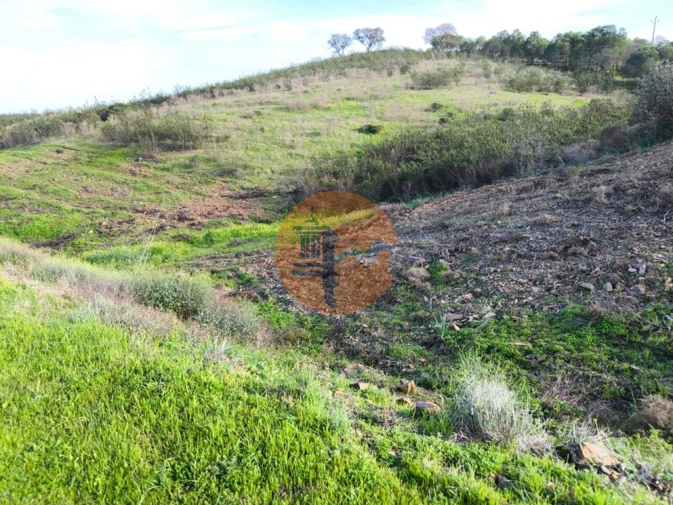 Terreno para Venda em Azinhal Foto 1