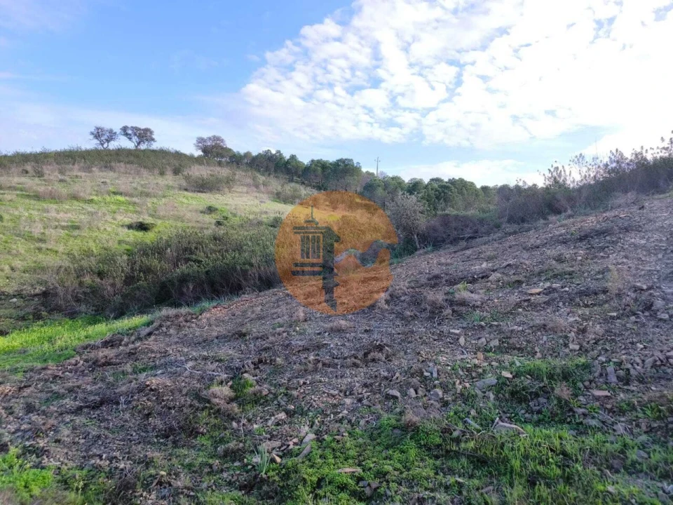 Terreno para Venda em Azinhal Foto 8