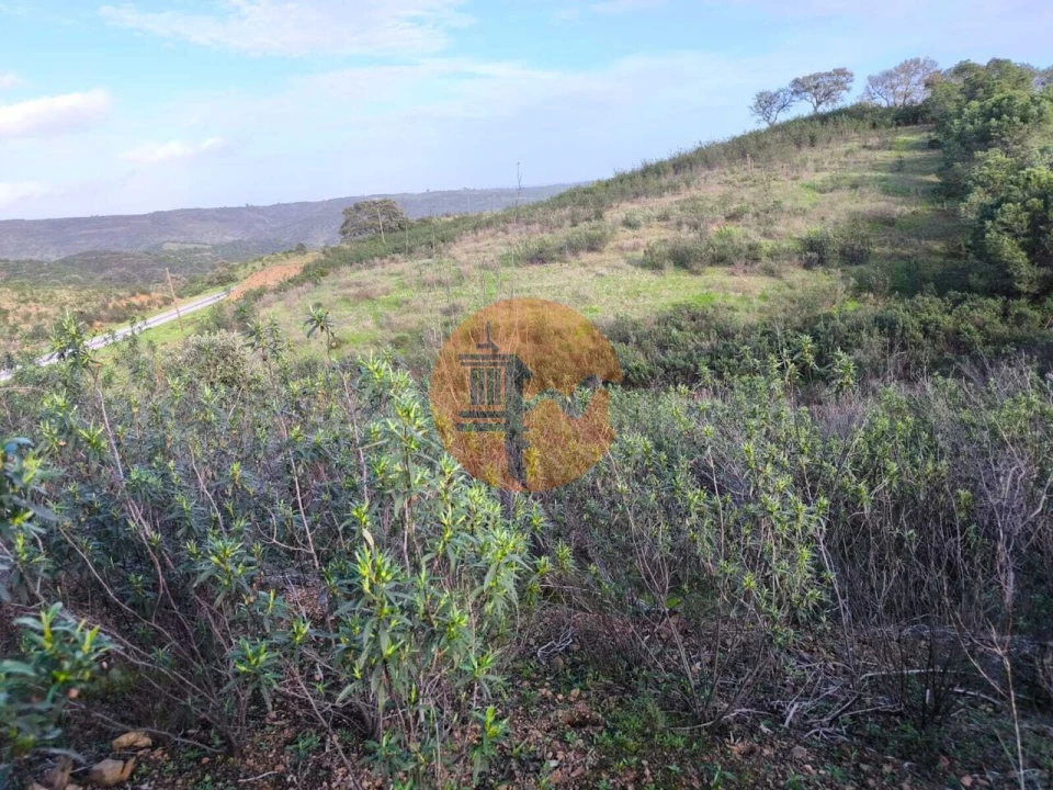 Terreno para Venda em Azinhal Foto 9
