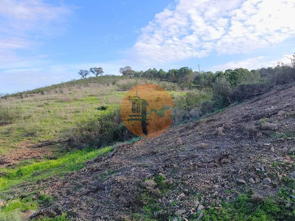 Terreno para Venda em Azinhal Foto 10