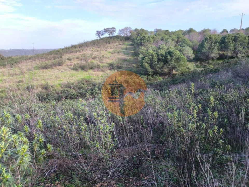 Terreno para Venda em Azinhal Foto 11
