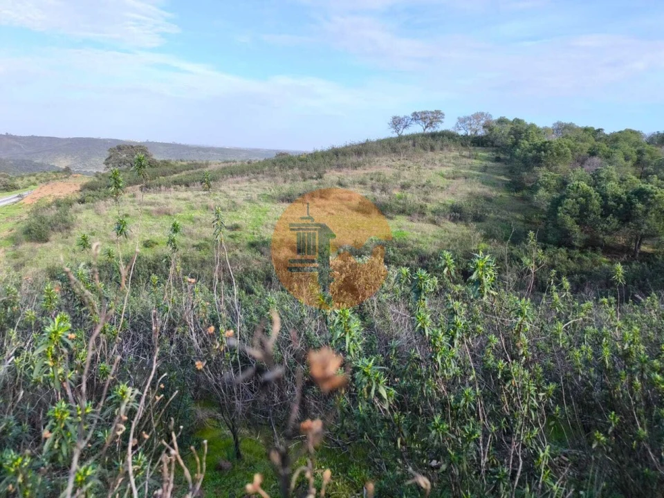 Terreno para Venda em Azinhal Foto 12