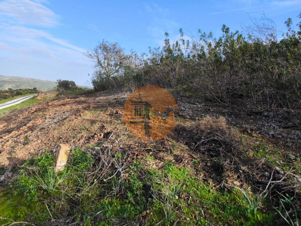 Terreno para Venda em Azinhal Foto 13
