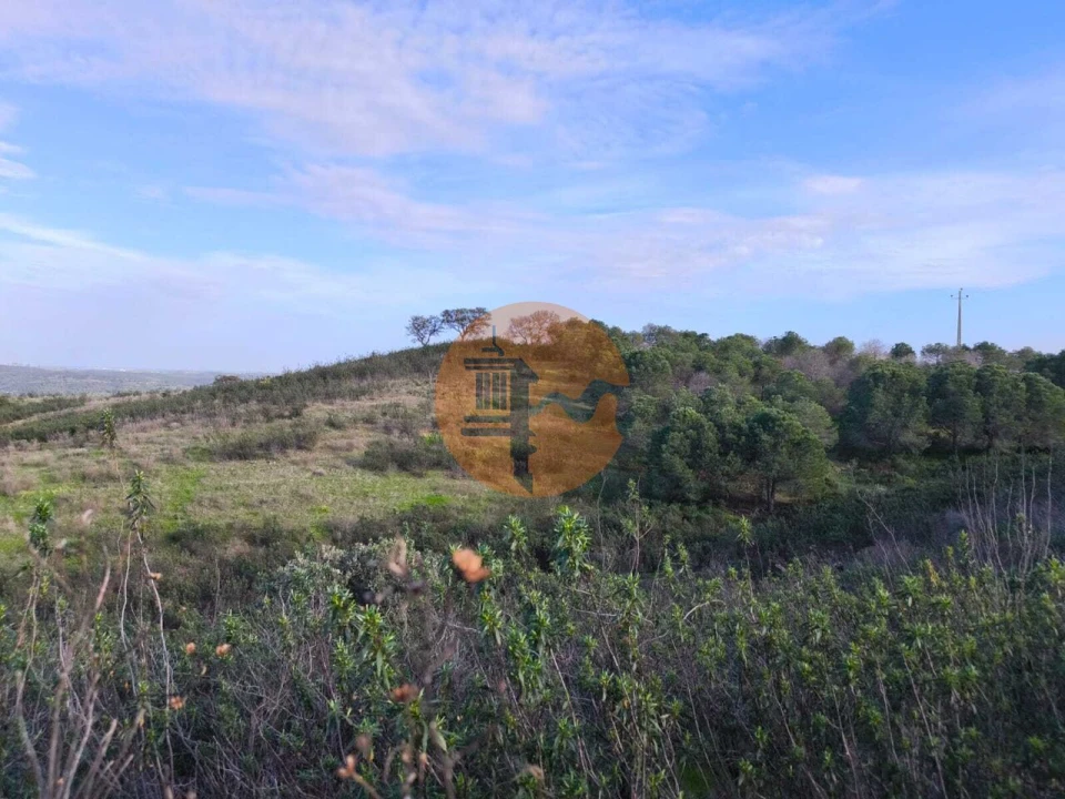 Terreno para Venda em Azinhal Foto 14