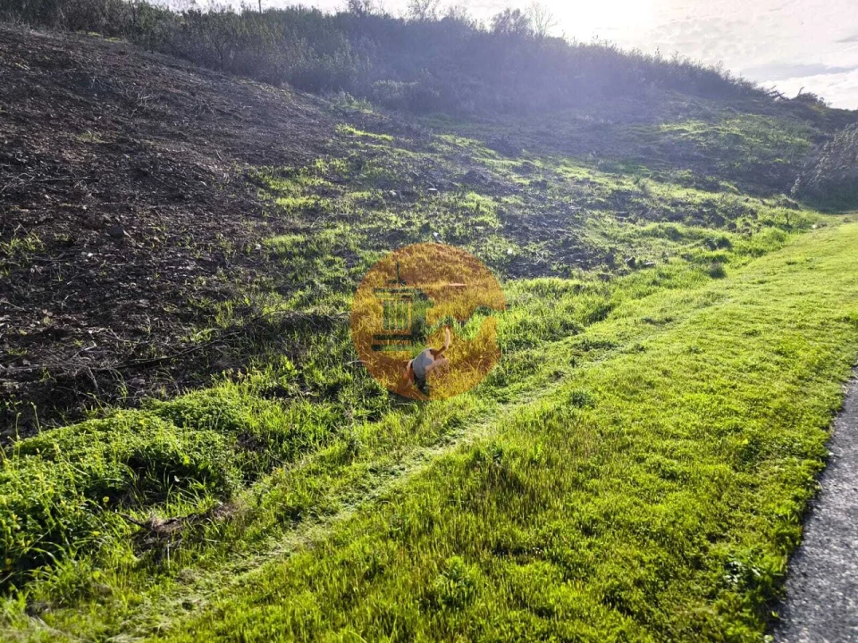 Terreno para Venda em Azinhal Foto 16