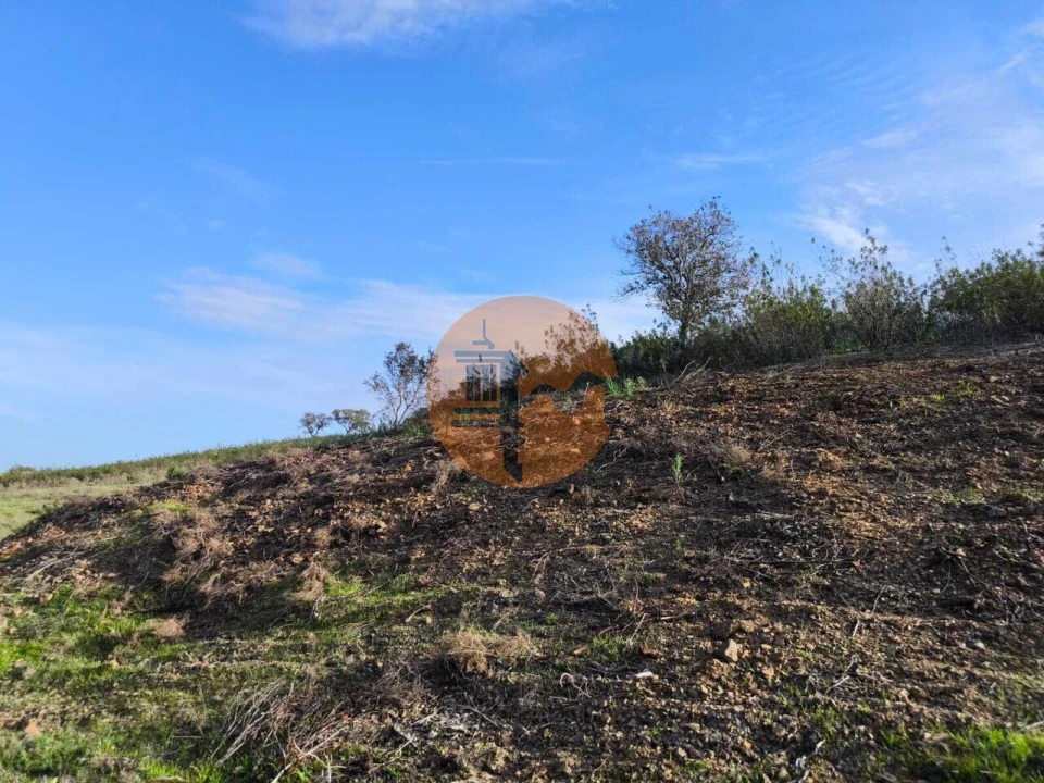Terreno para Venda em Azinhal Foto 17