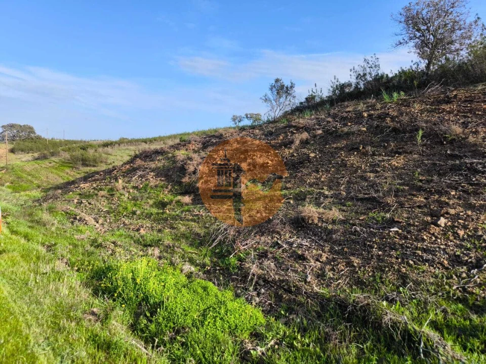 Terreno para Venda em Azinhal Foto 19