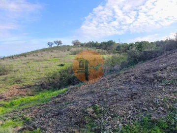 Terreno para Venda em Azinhal