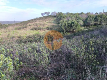 Terreno para Venda em Azinhal