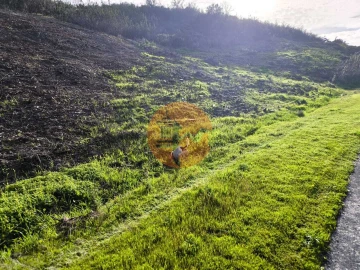 Terreno para Venda em Azinhal