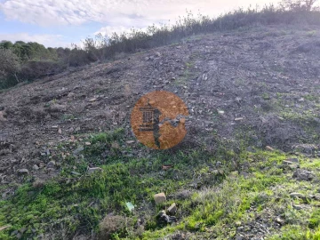 Terreno para Venda em Azinhal