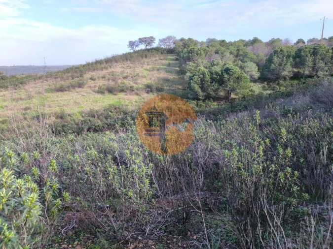 Terreno para Venda em Azinhal Foto 11