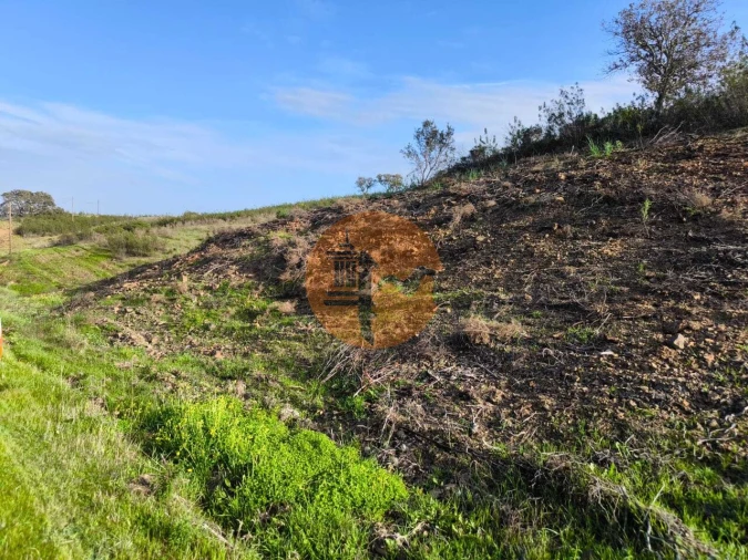 Terreno para Venda em Azinhal Foto 19