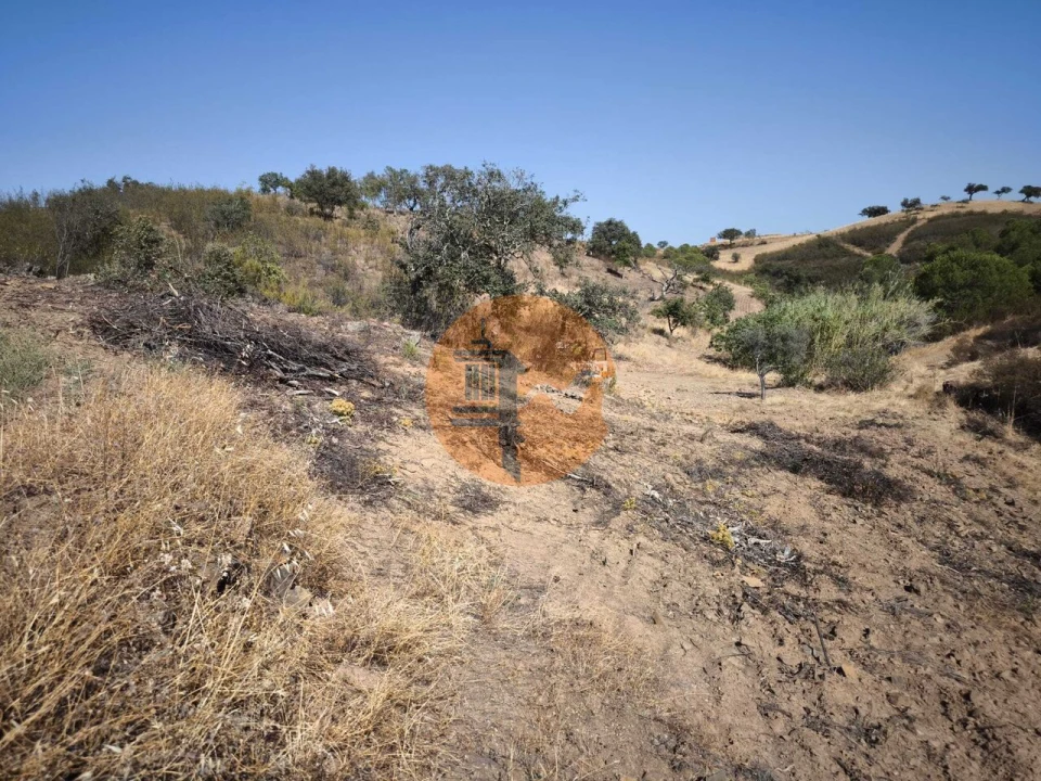 Terreno para Venda em Azinhal Foto 9