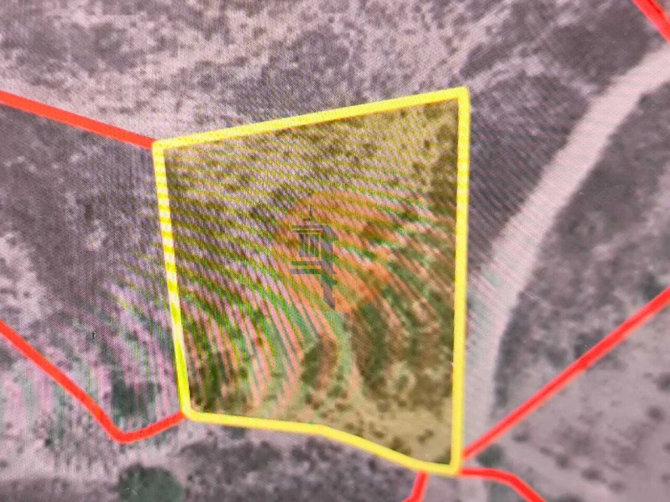 Terreno para Venda em Azinhal Foto 2