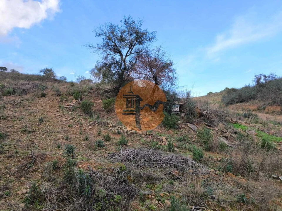 Terreno para Venda em Azinhal Foto 23