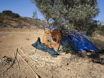 Terreno para Venda em Azinhal