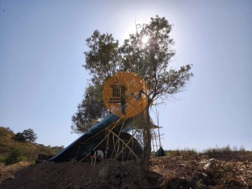 Terreno para Venda em Azinhal