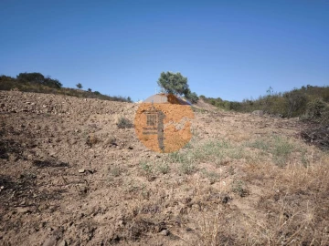 Terreno para Venda em Azinhal