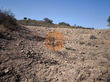 Terreno para Venda em Azinhal