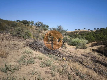 Terreno para Venda em Azinhal