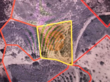 Terreno para Venda em Azinhal