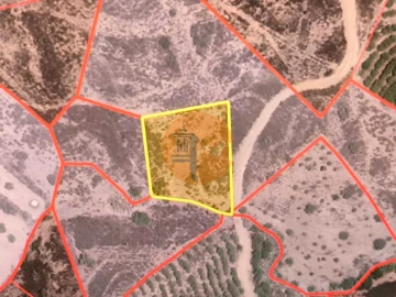 Terreno para Venda em Azinhal