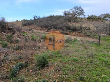 Terreno para Venda em Azinhal