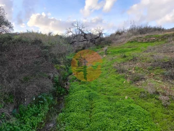 Terreno para Venda em Azinhal