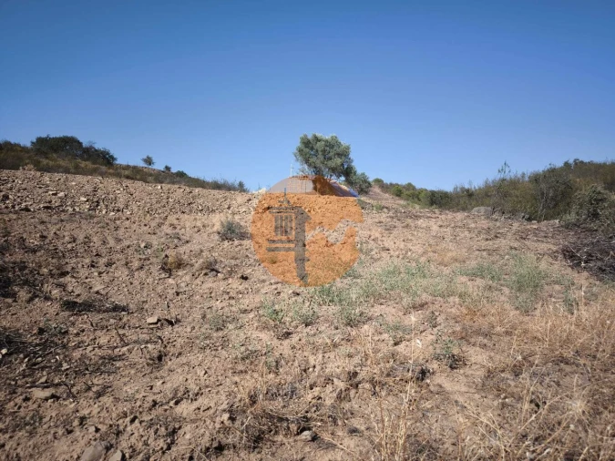 Terreno para Venda em Azinhal Foto 5